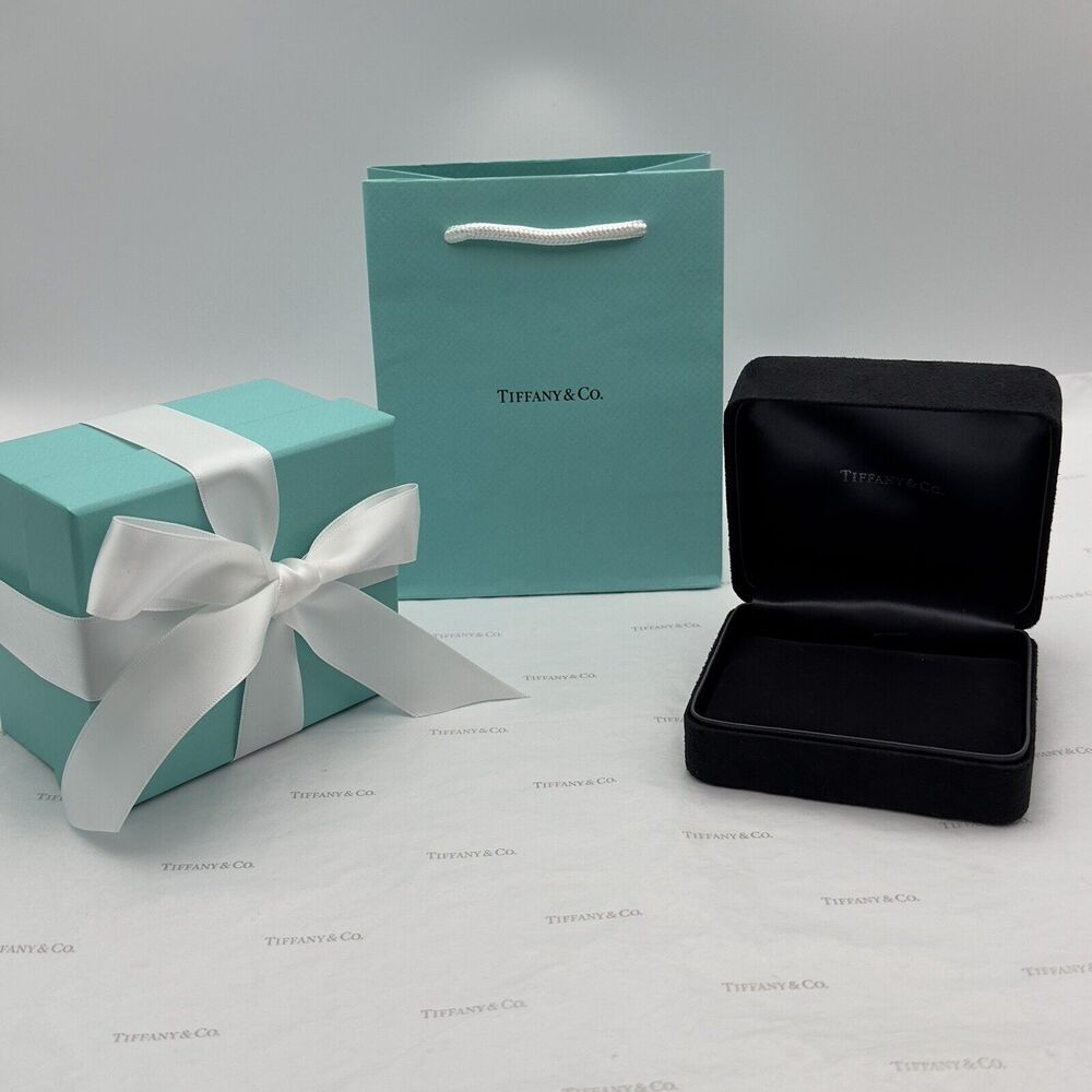 New Tiffany & Co. Black Suede Necklace Presentation Jewelry Box W/T&Co. Gift Bag